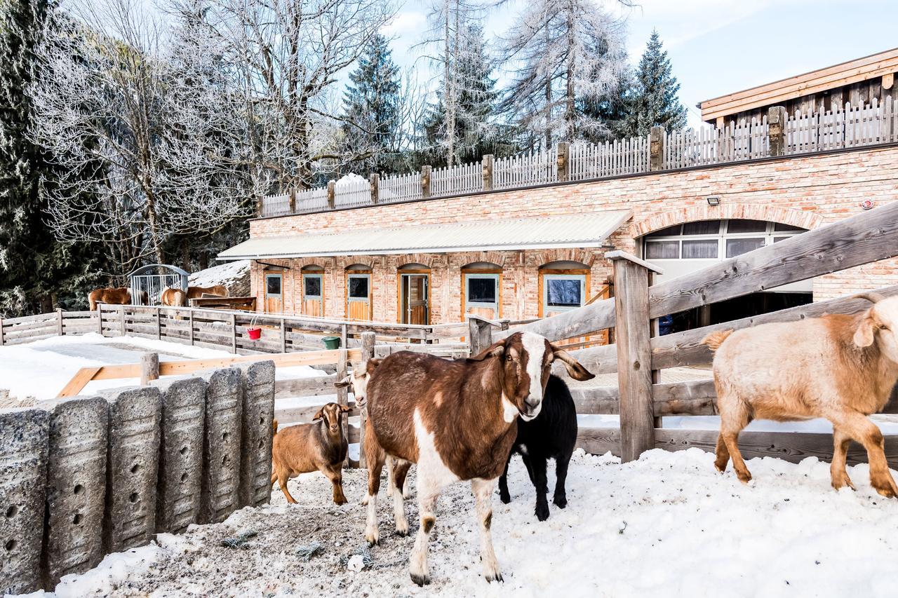 Peakini Farmhaus Villa Untertauern Exteriör bild