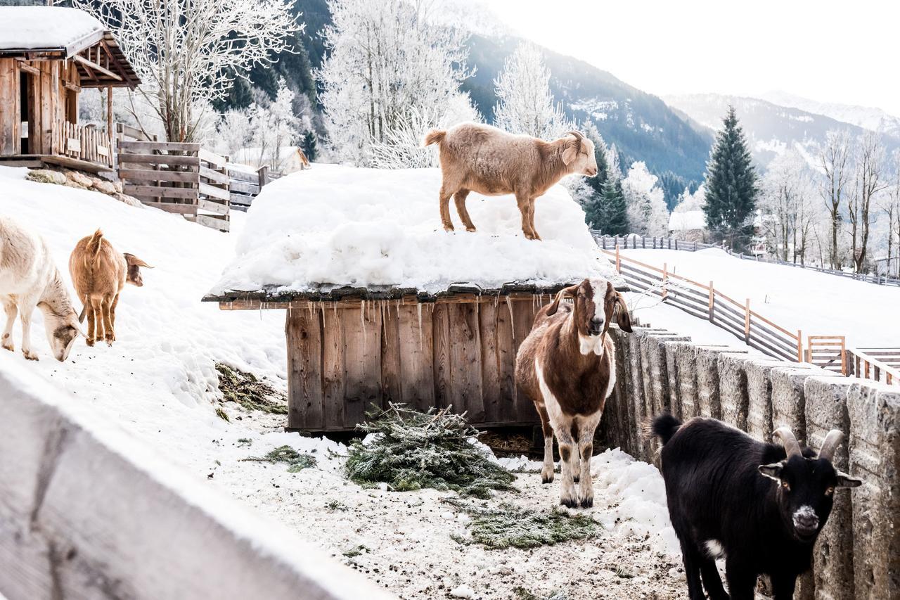 Peakini Farmhaus Villa Untertauern Exteriör bild
