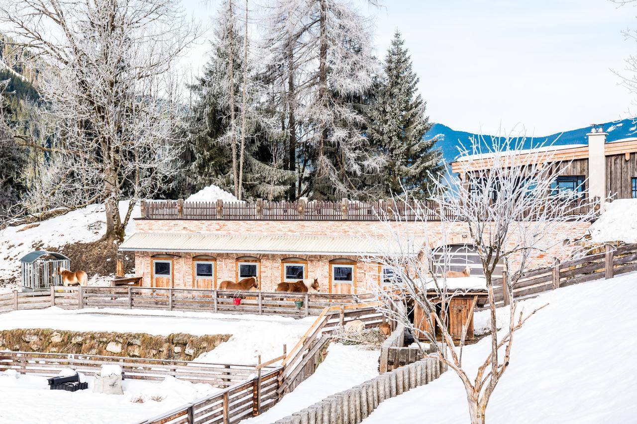 Peakini Farmhaus Villa Untertauern Exteriör bild